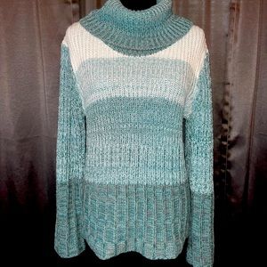 Dress Barn Plus Sweater